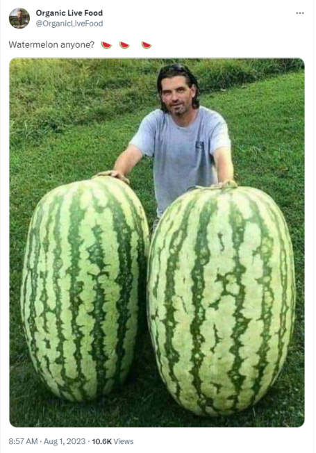 Watermelon Anyone?